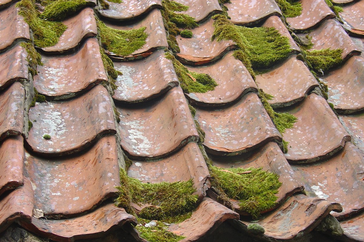 Roof Repairs thumbnail 4